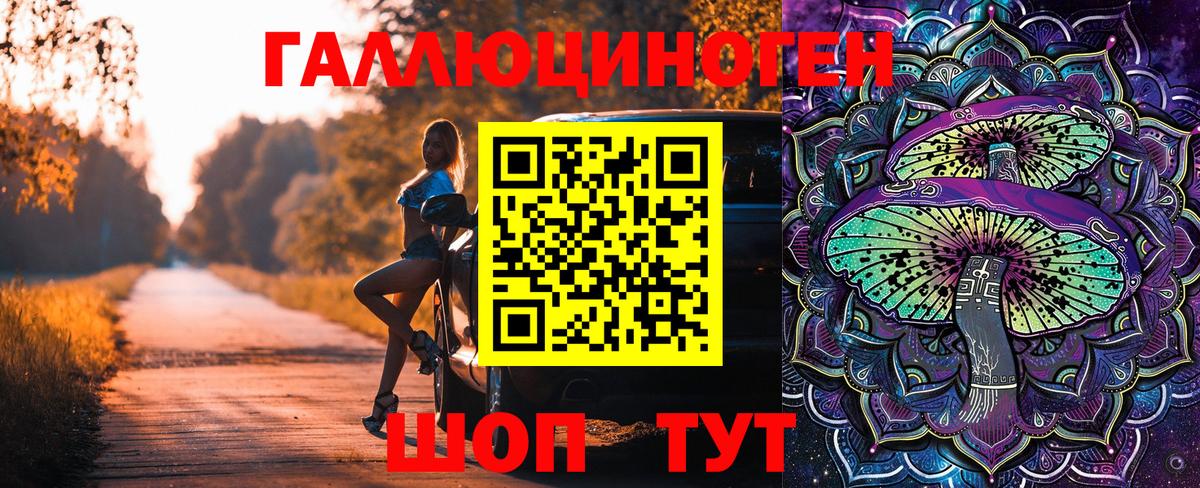 Псилоцибиновые грибы Cubensis Боровичи