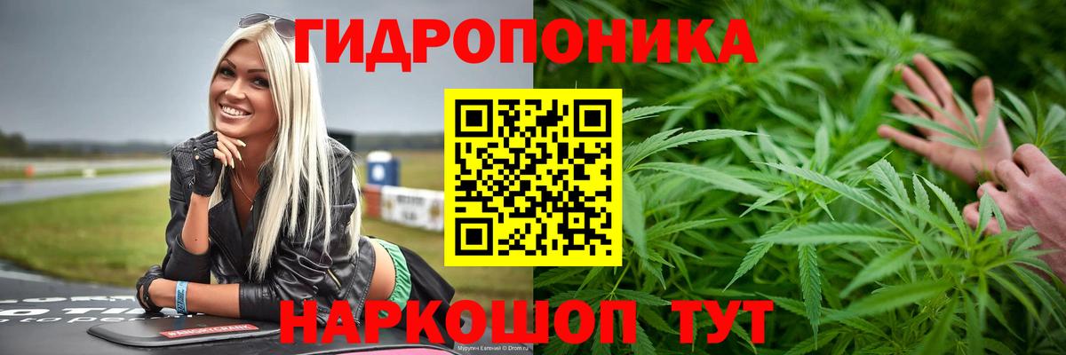 Боровичи  МАРИХУАНА ГИДРОПОН  Бошки Шишки марихуана  Вход с VPN 